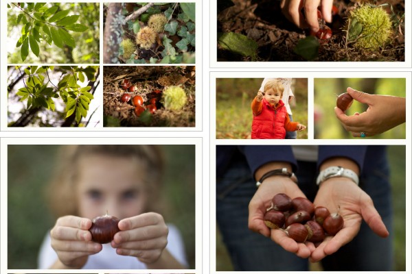 Libro Viaxeiro - Magosto Cara A