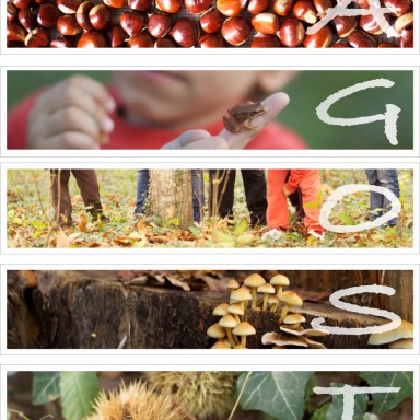 Libro Viaxeiro - Magosto Cara B