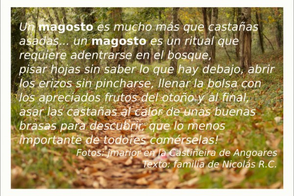 Libro Viaxeiro - Magosto 01