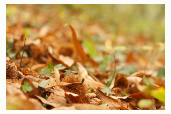 Libro Viaxeiro - Magosto 02