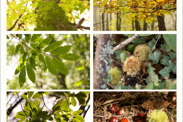 Libro Viaxeiro - Magosto 03