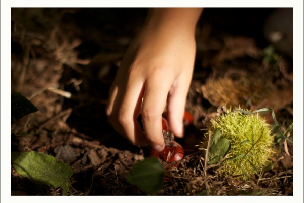 Libro Viaxeiro - Magosto 04