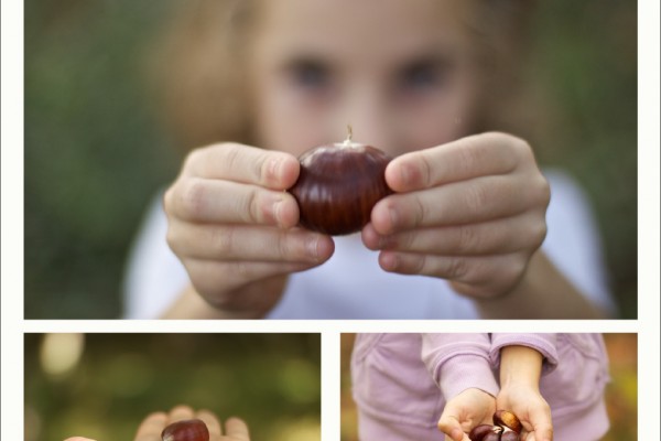 Libro Viaxeiro - Magosto 05