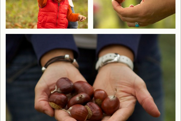 Libro Viaxeiro - Magosto 06