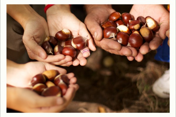 Libro Viaxeiro - Magosto 07