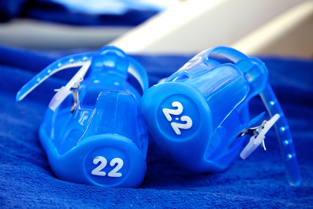 22 · Los dos patitos