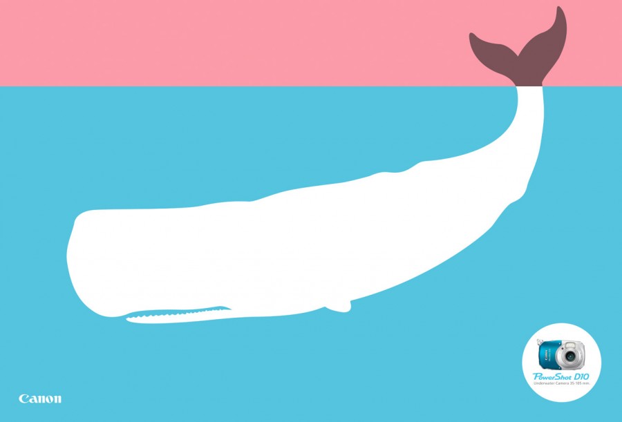 Canon Powershot D10 whale