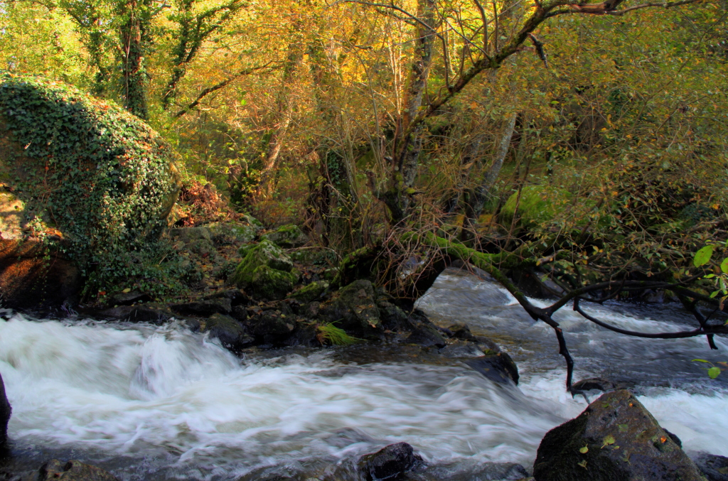 Río Arnoia · Xunqueira de Ambía