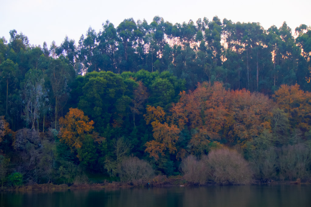 Salvaterra de Miño · Parque A Canuda