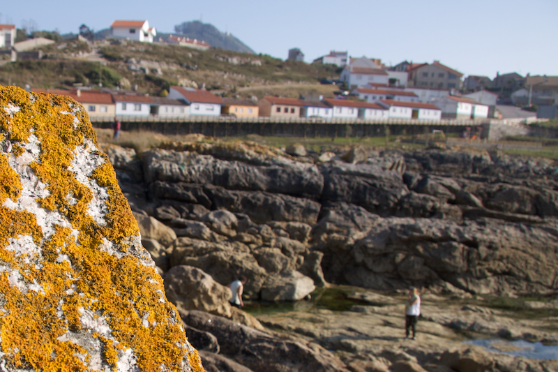 a garda liquenes a garda liquenes