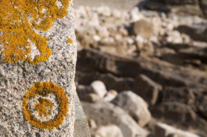 a garda liquenes a garda liquenes