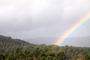 arco iris sobre el bosque