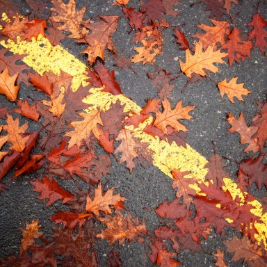 bandera del otoño 2