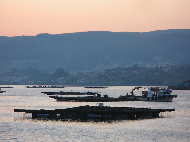 Amanece en las bateas