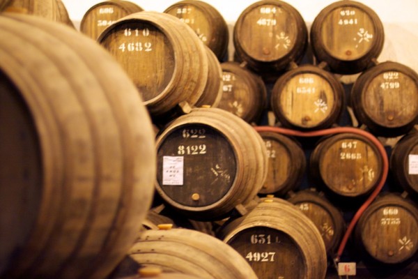 bodegas taylor oporto