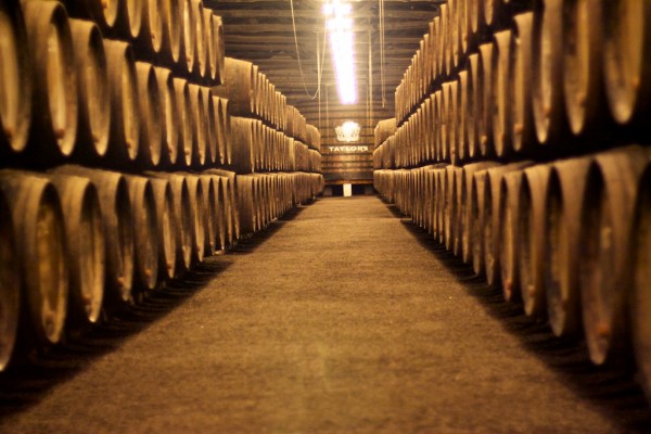 bodegas taylor oporto