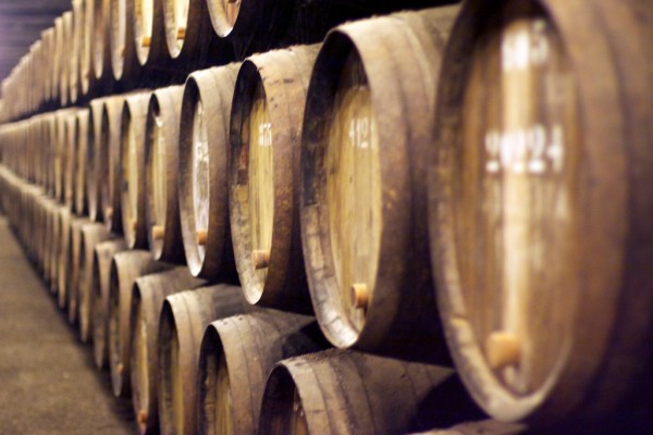 bodegas taylor oporto