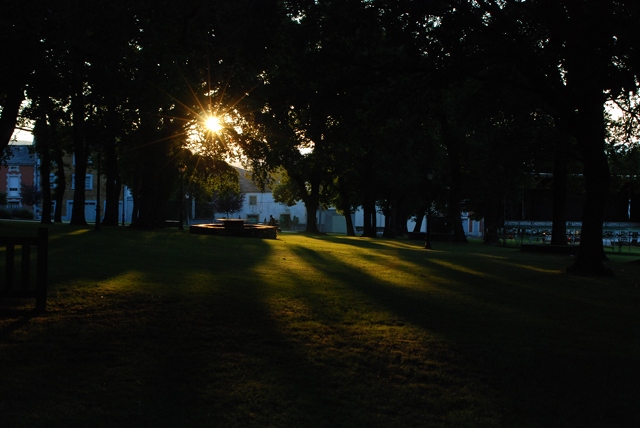 (Leña Verde) Carballeira de Mosteiro en Pol, Lugo (Leña Verde) Carballeira de Mosteiro en Pol, Lugo