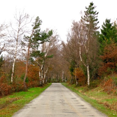 carretera de Castro, Lugo 1