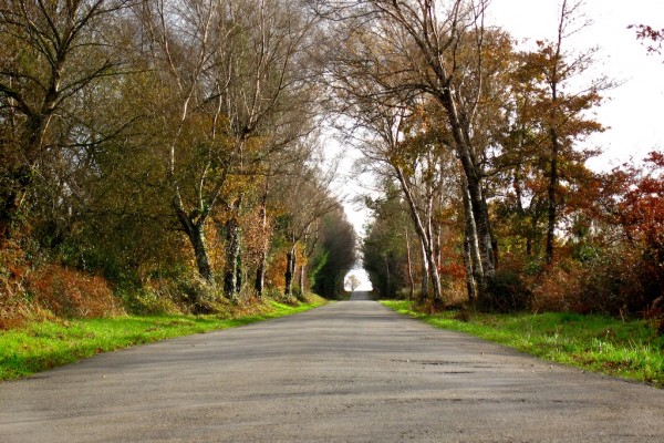 carretera de Castro, Lugo 3