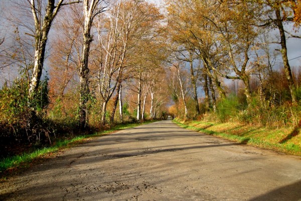 carretera de Castro, Lugo 4