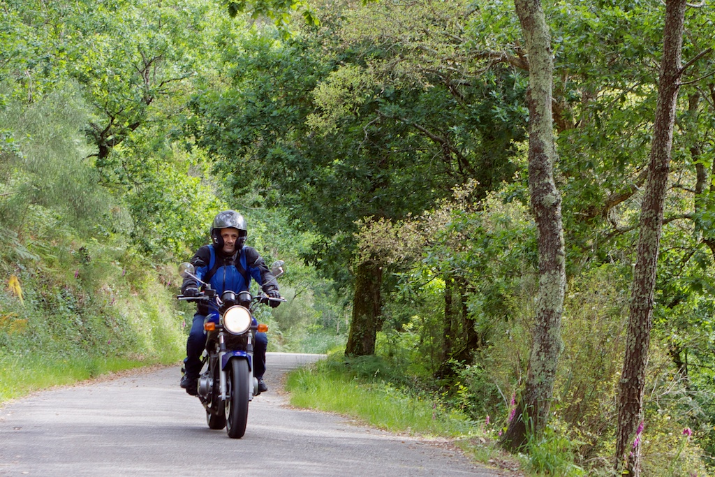 Carreteras de bosque
