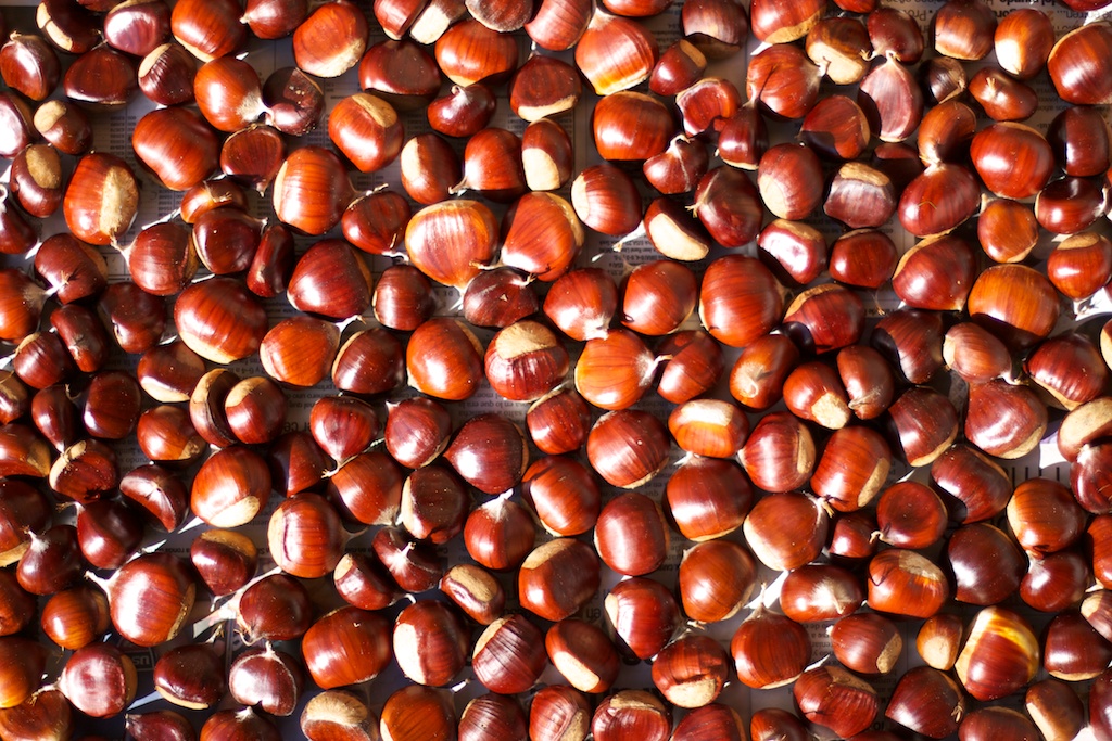 Mil castañas al sol