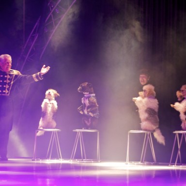 Circo Richards Bros Ricardo Gonçalves dos Santos