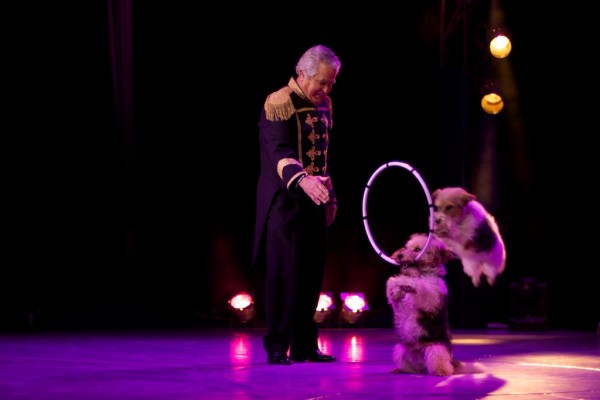 Circo Richards Bros Ricardo Gonçalves dos Santos