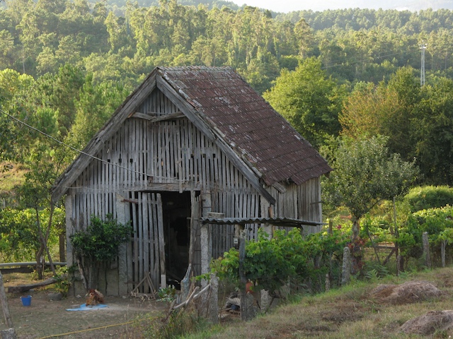 Cobertizo gallego