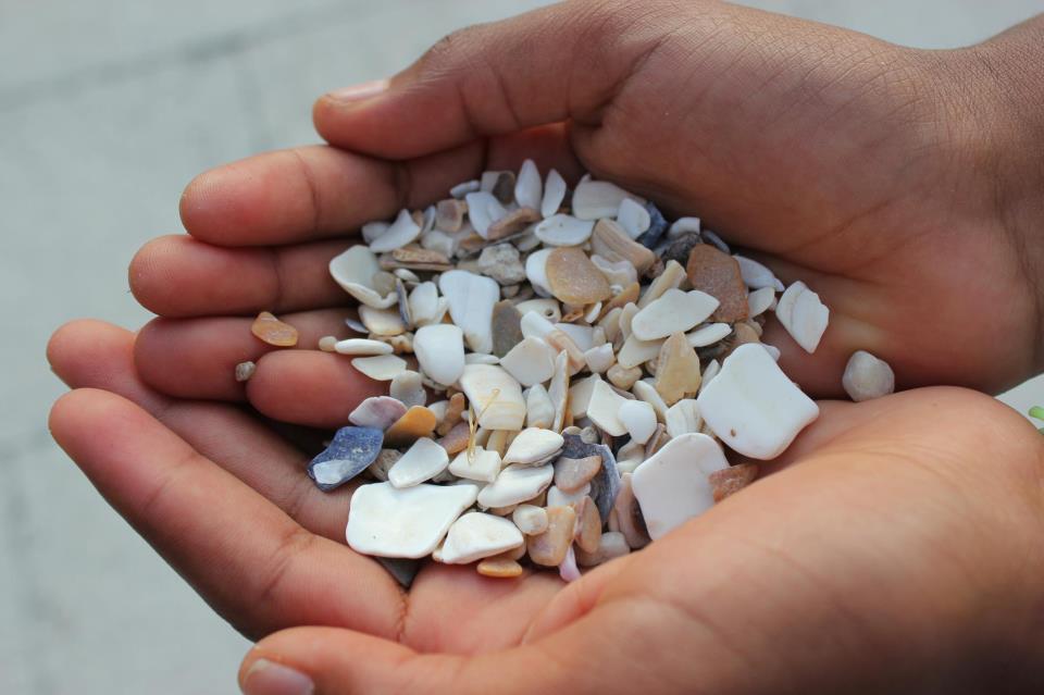 Conchas en las manos