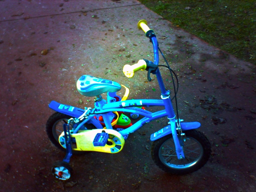 digital harinezumi 2 bici