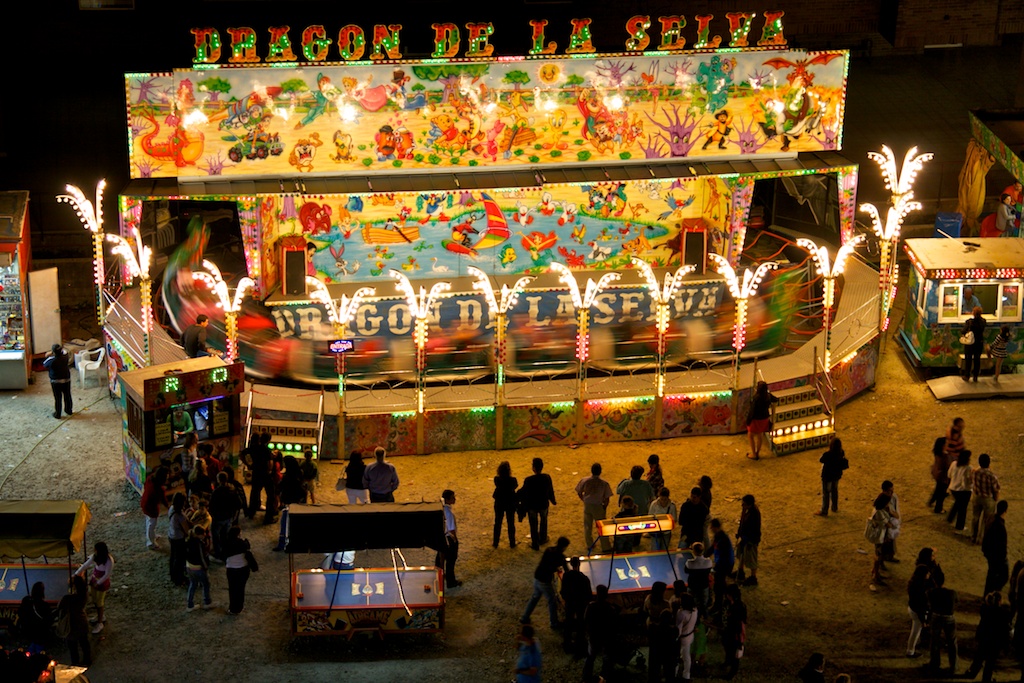 Dragón de la selva timelapse