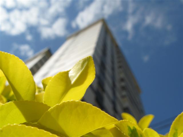Edificio San Martín de Coia