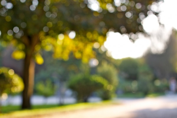 parque salvatierra a canuda