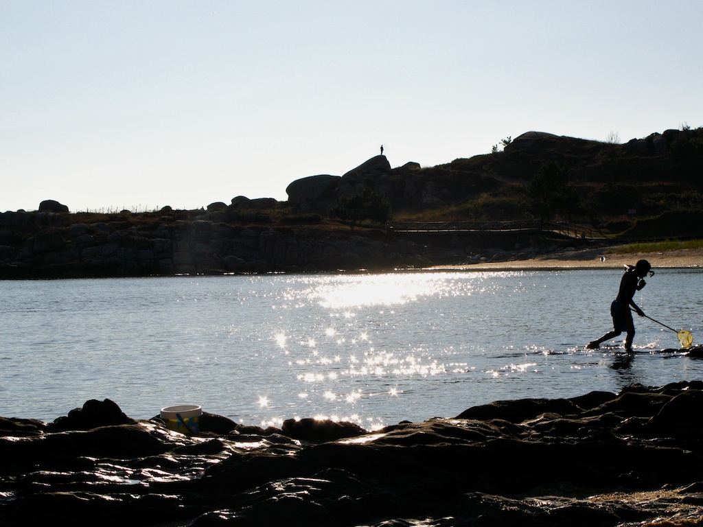 el vigia y el furtivo el vigia y el furtivo