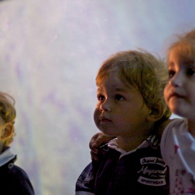 En el acuario de o Grove