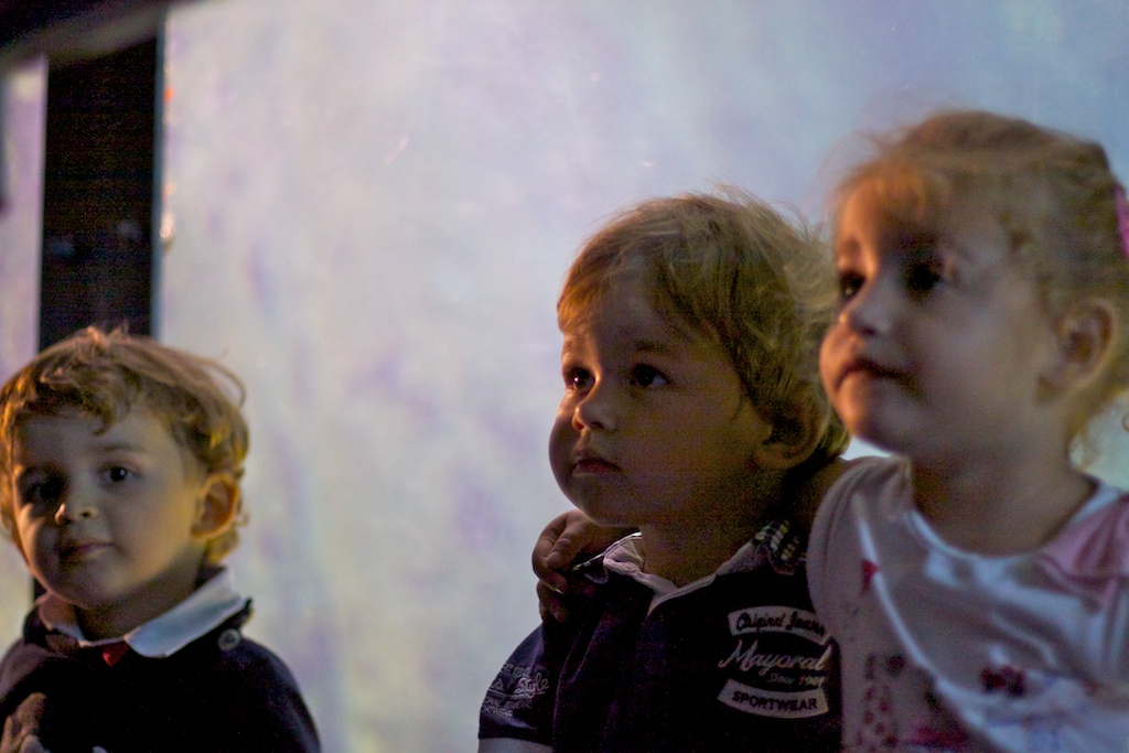 Los peces del acuario · O Grove