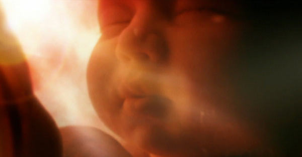 en-el-vientre-materno-fotos-13 en-el-vientre-materno-fotos-13