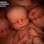 en el vientre materno gemelos trillizos cuatrillizos