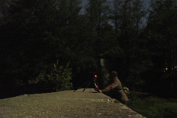 estrellas a la luz de la luna, angoares