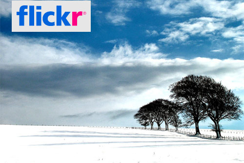 flickr flickr