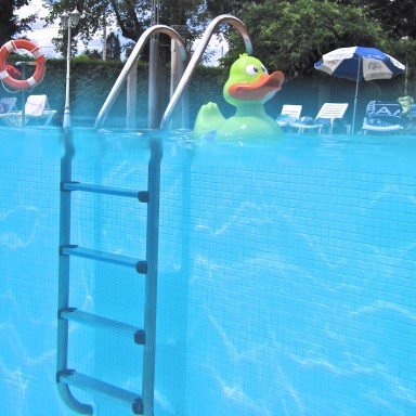 fotos bajo el agua en la piscina pato entre aguas