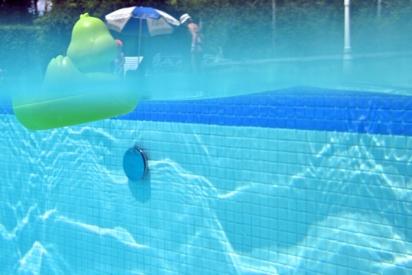 fotos bajo el agua en la piscina pato entre aguas