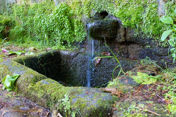 fuente de san domedio as neves