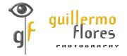 guillermo flores