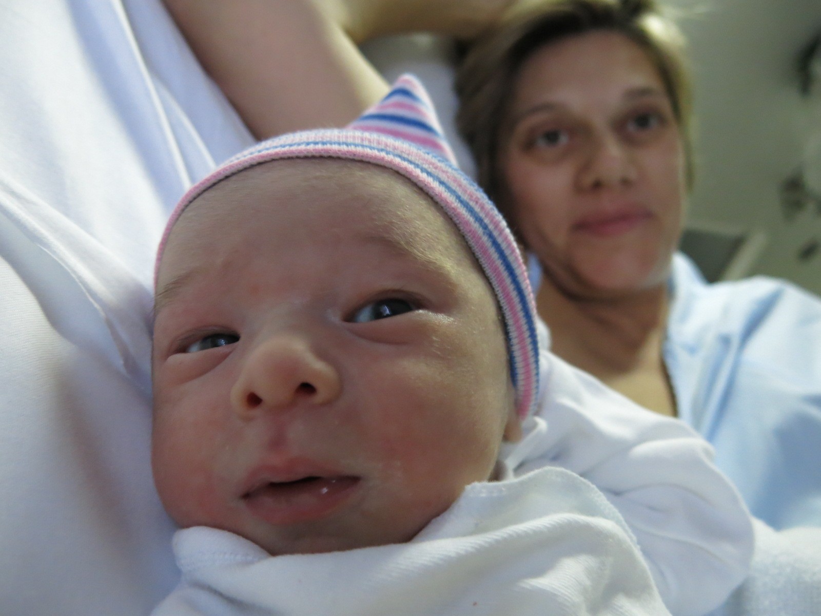 Guillermo Mario v0.0