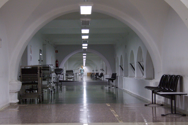 Todo sobre la gripe A/H1N1