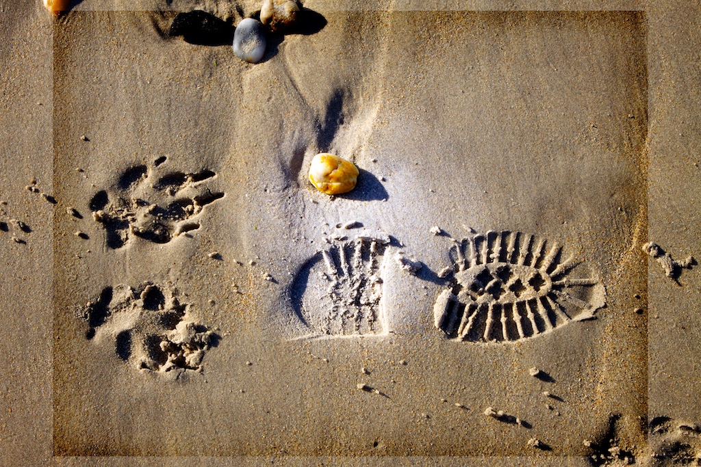 CF 89: La identidad de una foto