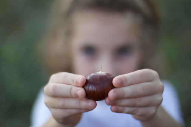 magosto en ponteareas, castaña magosto en ponteareas, castaña